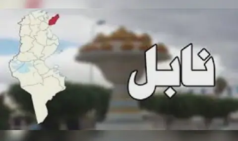 Tunisia's Nabil Governorate to Implement 15 New Projects