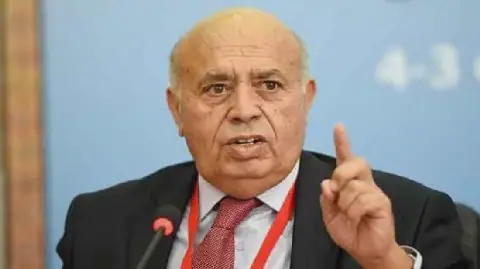 Tunisian Politician Emphasizes Importance of July 25th Path