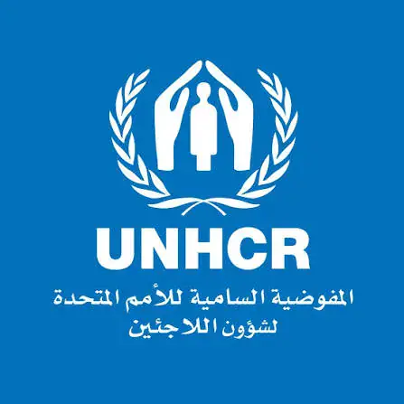 UN Refugee Agency Warns of Education Crisis for Refugee Children
