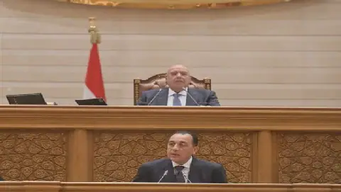Seven Egyptian Parties Notify Parliament of Parliamentary Body Representatives