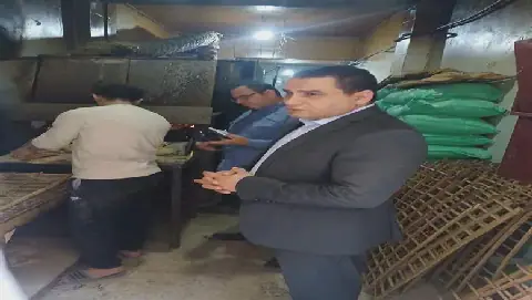 Egyptian authorities conduct 22 campaigns to seize unlicensed food and subsidized flour