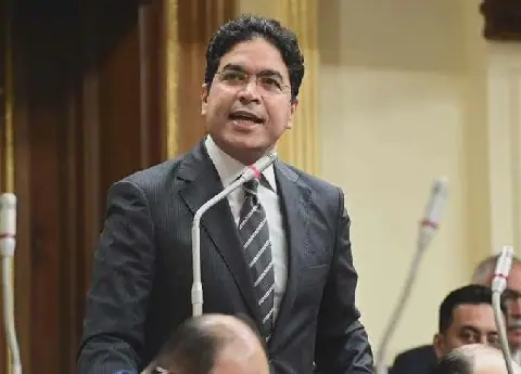 Egyptian MP Questions Government's Decision to Postpone Criminal Procedures Law