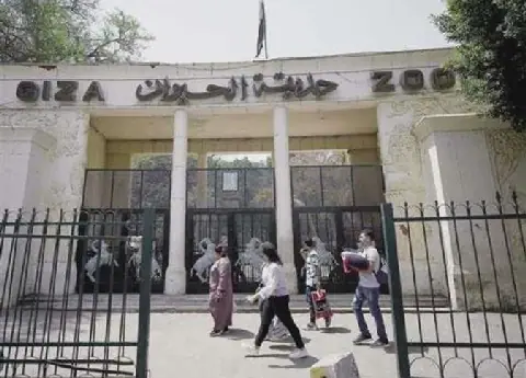 Giza Zoo Prepares for Reopening with New Name and Renovations