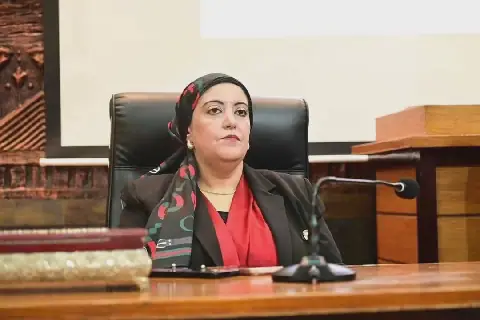 Egyptian Health Official Addresses Concerns Over Child with AIDS in Care Home