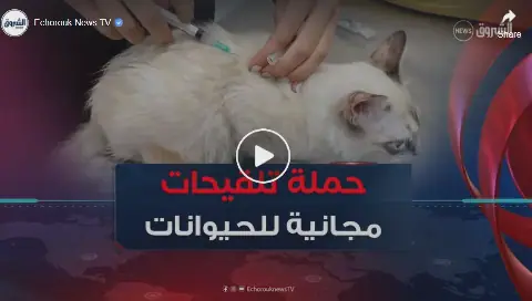 Free Vaccination Campaign for Pets Against Rabies in Constantine