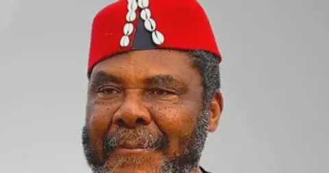 Veteran actor, Pete Edochie