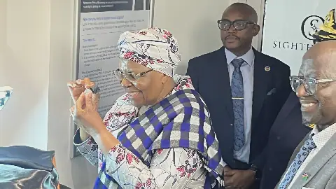 Namibia unveils 176-carat diamond as global market shifts