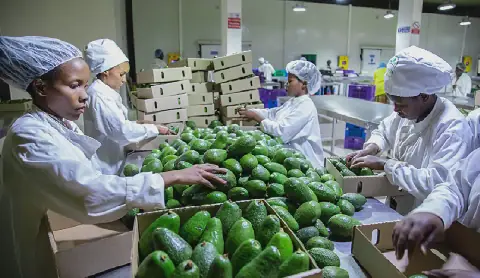 Rwanda's Exports Reach Nearly $3 Billion in 8 Years