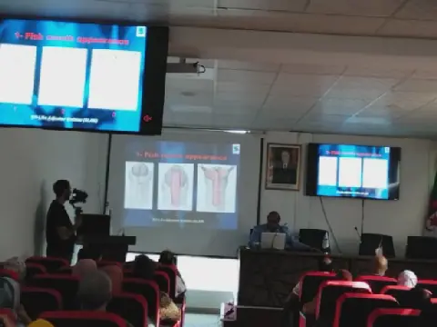 Algerian Children Undergo Successful Surgeries for Genital Deformities
