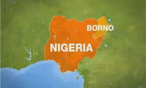 ALGON Raises Concerns Over Fake News Fuelling Insecurity in Borno