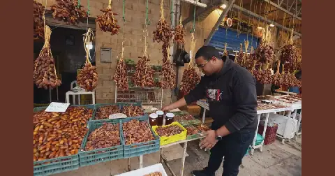 Tunisia Leads African Date Exports with 13% Global Share