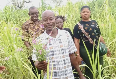Witchweed Infestation Devastates Harvests in Ghana's Upper East Region
