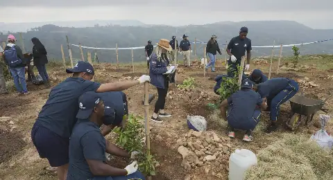 Five KZN Schools Compete in Arbour Month Challenge