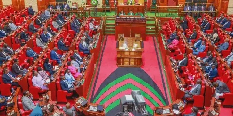 Parliament split over bill to restrict county assembly nominees to local voters