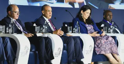 Egyptian Foreign Minister Emphasizes Economic Diplomacy in African Development