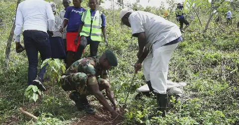 Homa Bay eyes breaking tree planting record
