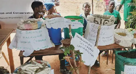 Malawi Farmers Urged to Adopt Climate-Smart Methods