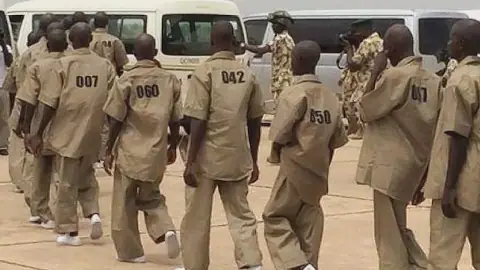 Boko Haram Kills 15 Borno Farmers in Ambush