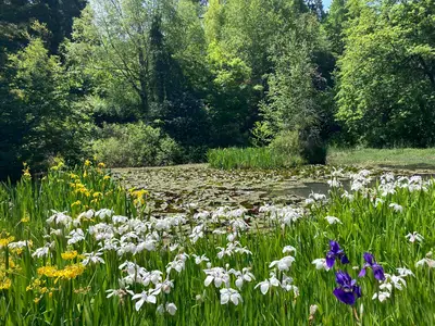 The Little Timbers garden in Hogsback.