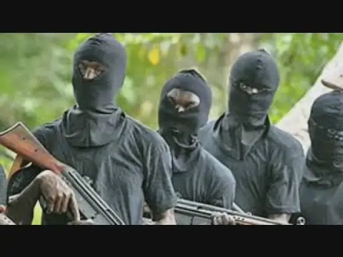 18 killed, others missing as terrorists attack villagers in Borno