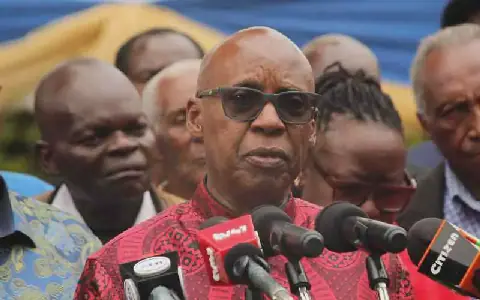 Wanjigi urges Africa to turn political freedom into economic power