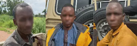 kidnappers
