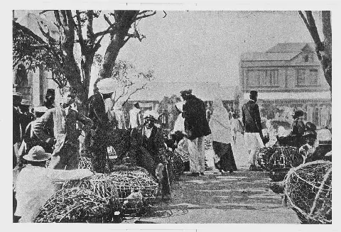 Debt networks shaped Indian life in colonial Natal