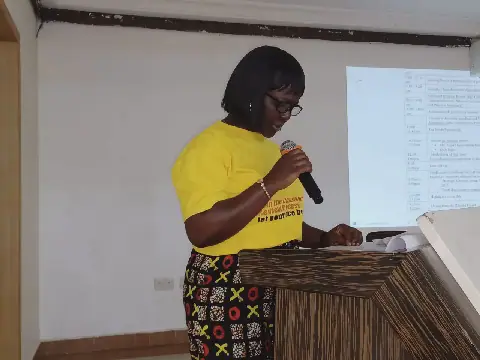 Traditional leaders, Assembly Members urged to participate in constitutional review process