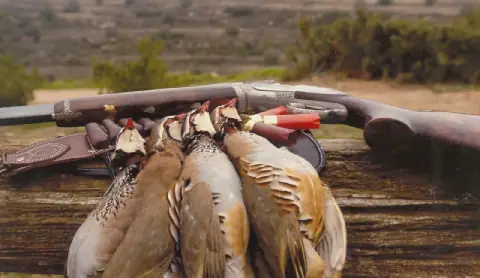 Morocco Launches New Hunting Season with Over 65,000 Local and 5,000 Foreign Hunters