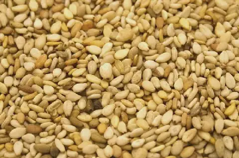 Northern-Savanna, Complete Farmer partner to produce 500 acres of organic sesame for export