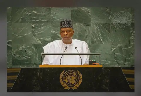 Africa's Quest for a Permanent Seat on the UN Security Council