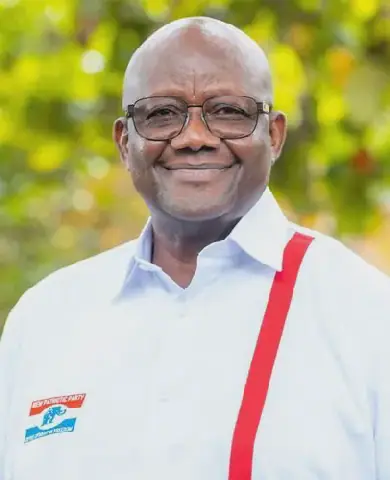 NPP needs Afoko to break NDC In 2028 — Political Scientist