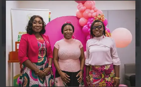 Breast Society of Ghana Urges Early Screening for Better Breast Cancer Outcomes