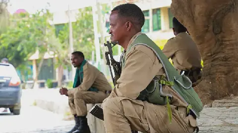 Tigray Rebels Abandon Mekelle as Pro-Government Forces Advance