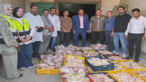 Egyptian Authorities Seize and Dispose of Over 1.7 Tons of Contaminated Meat