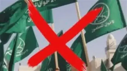 Egyptian Political Science Professor Analyzes Muslim Brotherhood's Shift in Activities Abroad