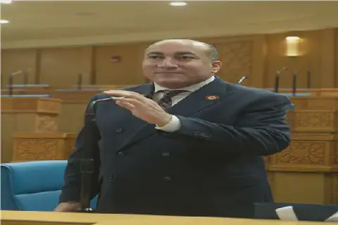 Egypt Shifts from Supporting African Cooperation to Building Implementable Economic Partnerships