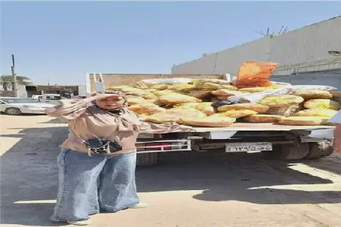 Egyptian Agriculture Ministry Seizes 175 Tons of Spoiled Meat