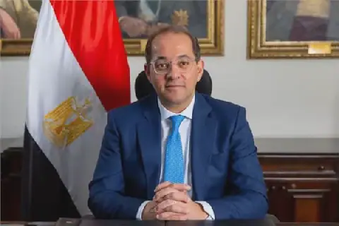 Egyptian Minister of Finance Expresses Gratitude for High Response Rate to Real Estate Tax Application