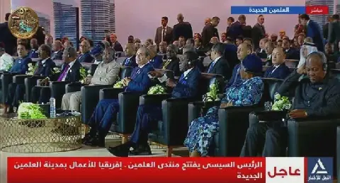 African Export-Import Bank Chief Praises Egypt's Role in Economic Integration