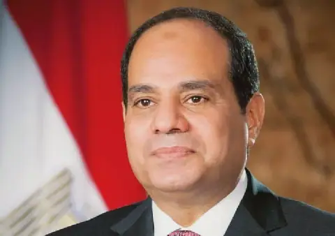 الرئيس عبد الفتاح السيسي