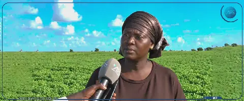 La mairesse de Gniby, Amy Ndiaye, se distingue dans l'agriculture sénégalaise
