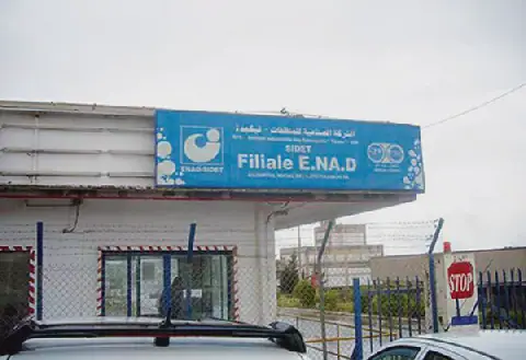 Workers at Algeria's ENAD Factory in Sour El-Ghozlane Go on Strike
