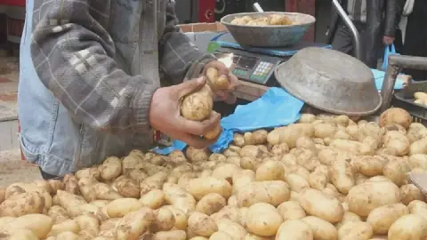 Algeria Introduces New Price Controls for Potatoes