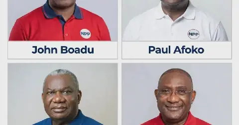 NPP National Chairman aspirants