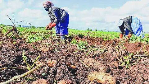 Mauritius to Implement New Regulations to Strengthen Pesticide Controls in Agriculture