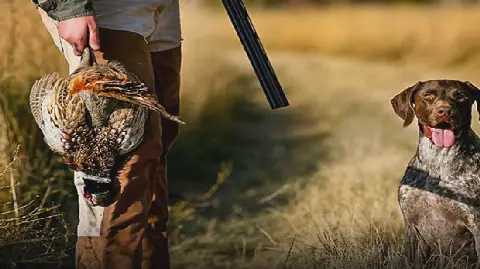 Tunisia's Regional Hunting Association Issues Guidelines for Upcoming Hunting Season