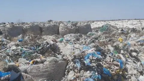 Tunisia's Environment Ministry Warns of Waste Management Disruption
