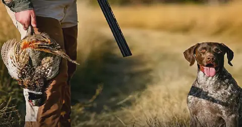 Tunisian Hunting Association Issues Guidelines for Upcoming Hunting Season