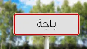 Tunisia's First Rehabilitation Center for Autistic Children and Those with Learning Disabilities Opens in Bajah